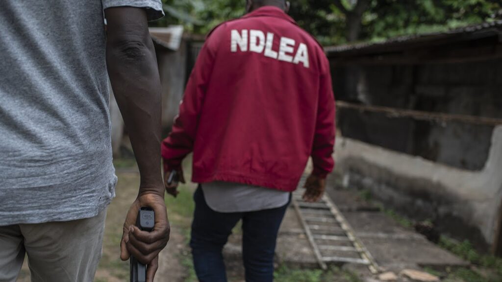 NDLEA Boss Calls for Emergency Declaration on Drug Abuse