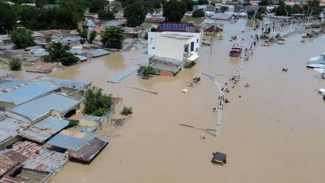 Landlord and Tenant Clash Over Flood Damage Repairs in Borno State