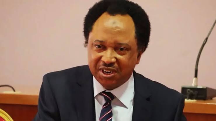 FG Should Increase Female NYSC Members Allowance To N100,000 – Shehu Sani